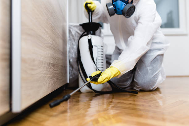 Best Termite Control Services  in Cass City, MI