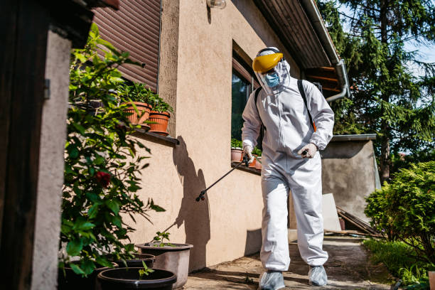 Best Commercial Pest Control Services  in Cass City, MI