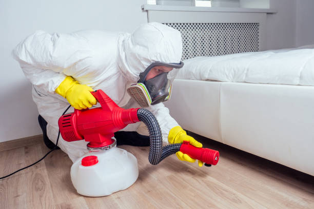 Professional Pest Control in Cass City, MI