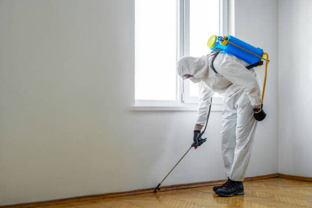 Best Insect Control  in Cass City, MI
