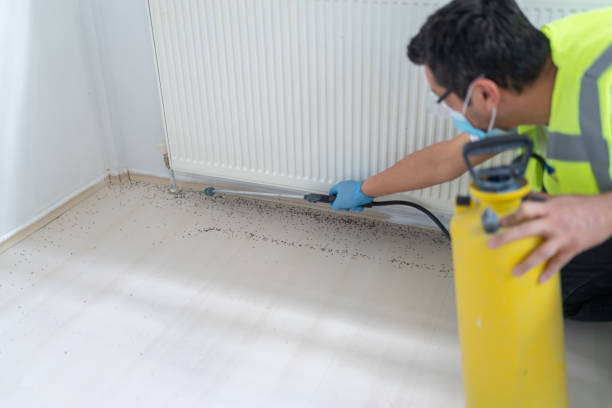 Best Exterminator Services  in Cass City, MI